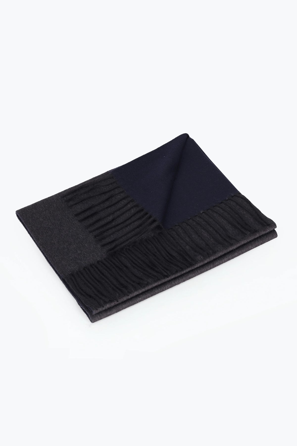 Piacenza 1733 Double-Face Silk and Cashmere Scarf / Anthracite & Blue